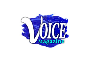 Web-Voice Logo